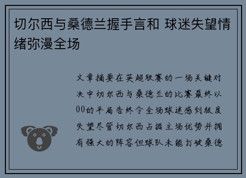 切尔西与桑德兰握手言和 球迷失望情绪弥漫全场